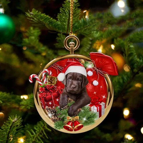 Miniatura 20 de Nazenti Adorno personalizado de bola de Navidad de pastor australiano – Adorno de perro personalizado para amantes de las mascotas, colgante