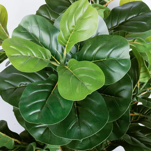Miniatura 4 de Árbol de higuera artificial de hoja de violín de 5 pies de alto, planta de higuera falsa para interiores, planta de ficus iyrata falsa que incluye