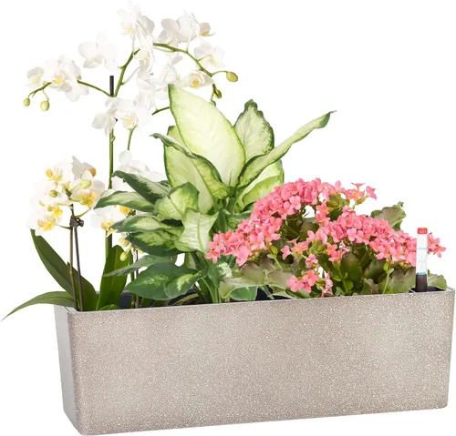 Macetas alargadas con autorriego para ventana, de 5.5 x 16 pulgadas, para interiores, hogar, jardín, maceta decorativa moderna para todas las