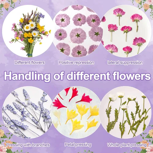 Miniatura 6 de Suziko Kit de prensa de flores grandes de 10.8 x 6.9 pulgadas para adultos, kit de preservación de flores y plantas, artes y manualidades