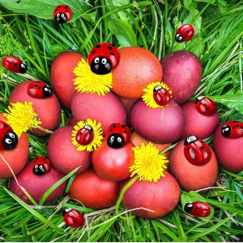 Miniatura 5 de 100 piezas diminutas de resina para decoración de mariquitas de 0.55 a 0.98 pulgadas, 3 tamaños, mini mariquitas, figuras en miniatura
