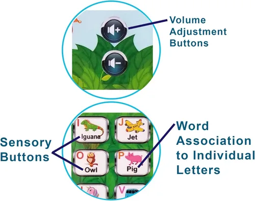 Miniatura 6 de Just Smarty Tableta del Alfabeto para Aprender Letras, ABC, Números, Formas, Colores, Música y Palabras, Juguetes Interactivos de Aprendizaje