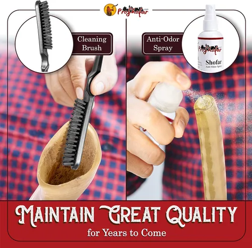 Miniatura 6 de Shofar Set (bolsa de transporte de terciopelo, aerosol neutralizador de olores, cepillo de limpieza, guía y pulsera roja de Tierra Santa) Ram Shofar