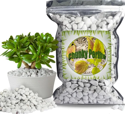 Doter Perlita gruesa orgánica para plantas (0.4 a 0.8 pulgadas de diámetro), mezcla de acondicionador de aditivo natural para suelos para