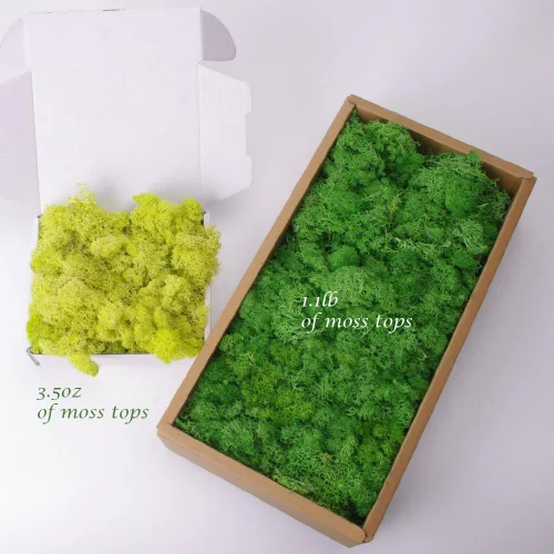 Miniatura 3 de Musgo preservado, musgo de 3.5 onzas para manualidades, decoración de musgo sintético, musgo verde natural para decoración de pared de floristería