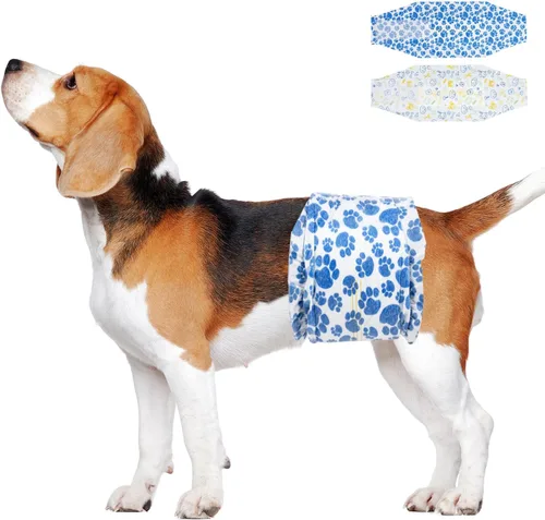 Dono Pañales desechables para perros machos, 20 unidades, indicador de humedad a prueba de fugas, con tecnología de gel de secado rápido, para