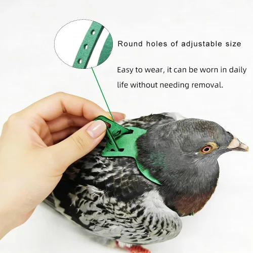 Miniatura 5 de Juego de arnés ajustable y correa para pájaros pequeños, apto para periquitos, conures, cacatúas, mejillas verdes, loros cuáqueros (verde, XS) 6350-6