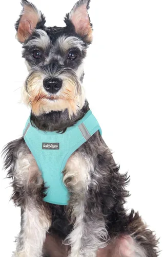 Miniatura 73 de rabbitgoo Arnés para perro pequeño, chaleco de malla suave para cachorros con hebilla de seguridad, arnés reflectante transpirable para mascotas