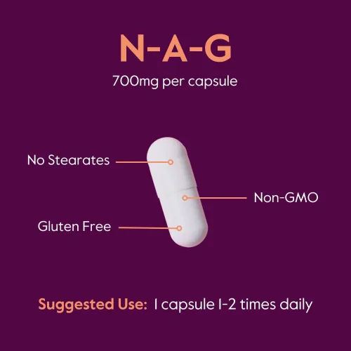 Miniatura 5 de BESTVITE N-acetil glucosamina (N-A-G) 700 mg (240 cápsulas) (120 x 2)