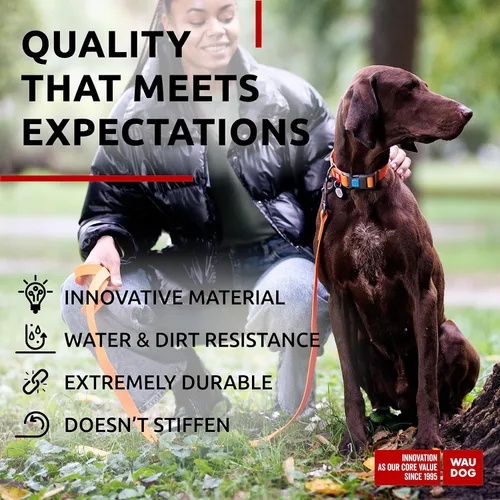 Miniatura 4 de WAUDOG Collar de Perro Impermeable - Collar de Perro Ajustable para Perros Grandes, Pequeños y Medianos - Collar de Perro Desmontable Impermeable