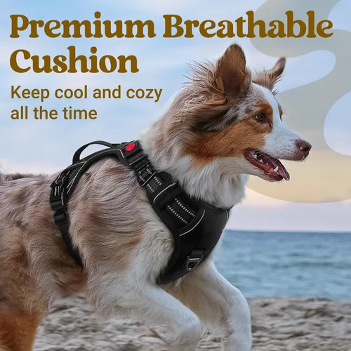 Miniatura 7 de rabbitgoo Arnés para perro de tamaño pequeño, arnés para mascotas sin tirones con mango acolchado suave, chaleco reflectante ajustable con 3