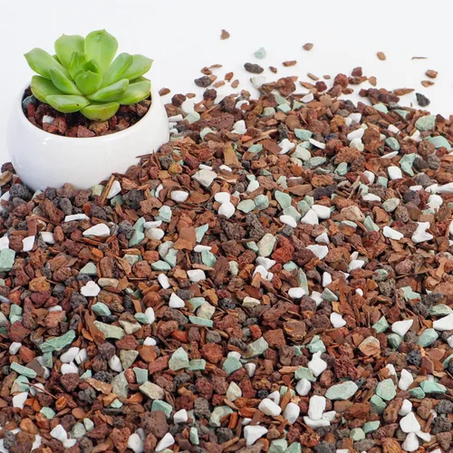 Miniatura 8 de Mezcla de suelo para bonsái de 2 cuartos, lava, corteza, roca volcánica, zeolita verde y perlita, mezcla orgánica natural para plantas en maceta