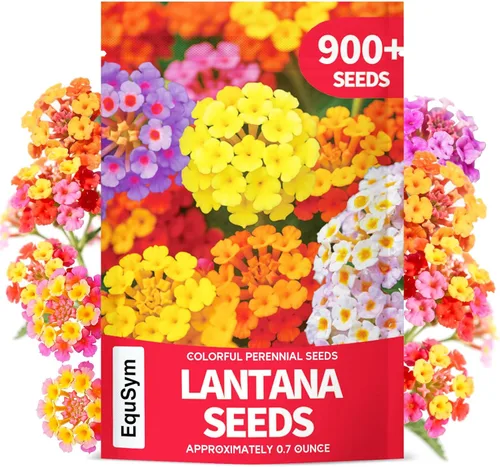 Más de 900 semillas de flores Lantana – Colores mezclados | Tolerantes al calor y a la sequía, fáciles de cultivar | Atrae mariposas y colibríes |