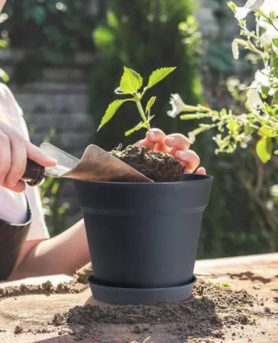 Miniatura 3 de homenote Macetas para plantas, paquete de 15 macetas de plástico de 6 pulgadas con múltiples agujeros de drenaje y bandeja, macetas para todas