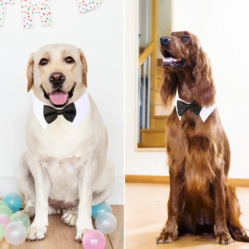 Miniatura 4 de Collar de esmoquin con moño para perro Segarty - Corbatín negro con corbata de cuello ajustable y hecha a mano en blanco para gatos y perros machos