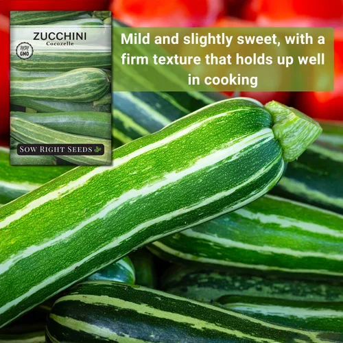 Miniatura 5 de Sow Right Seeds - Semillas de calabacín Cocozelle para plantar - Paquete de reliquia sin OMG con instrucciones para plantar y cultivar un huerto