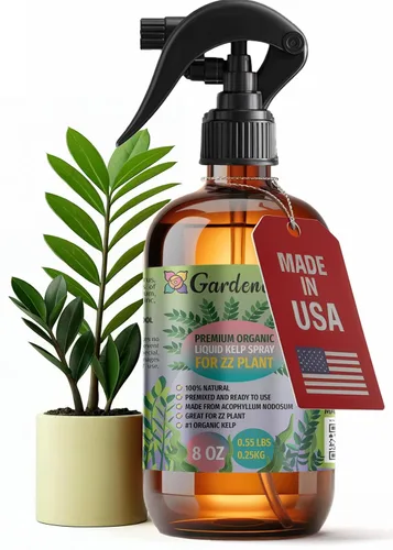 Miniatura 28 de GARDENERA Spray orgánico profesional de algas marinas para plantas AGLAONEMA – 8 oz – Rocío fertilizante de algas marinas y algas marinas totalmente