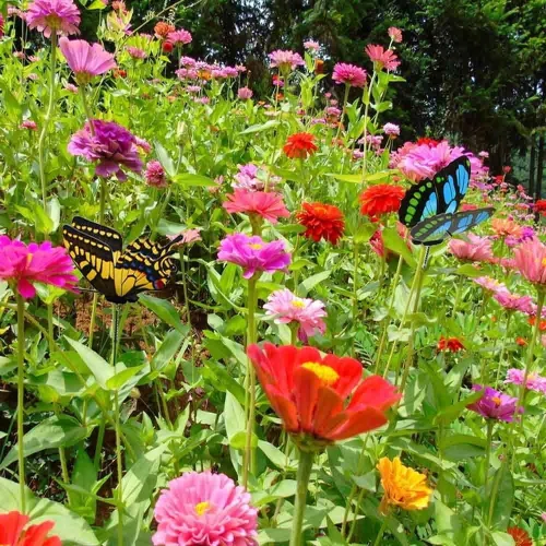 Miniatura 5 de 100 estacas de mariposa para exteriores, maceta, maceta, cama, decoración de jardín, mariposas, decoraciones de Navidad, mariposas artificiales