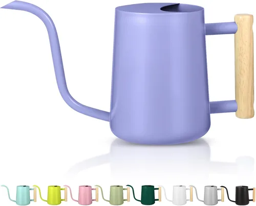 Miniatura 18 de Regadera para plantas de interior, regadera pequeña de acero inoxidable de 35 onzas, regadera decorativa moderna con boquilla larga para plantas
