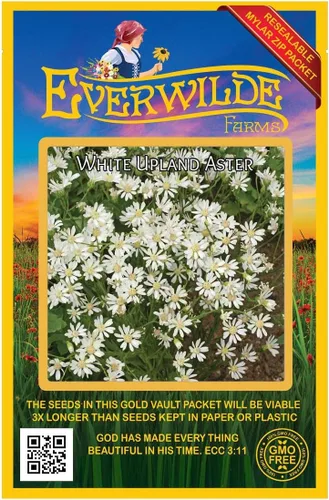 Everwilde Farms - 2000 semillas de flores silvestres nativas de aster de tierras altas blancas - Paquete de semillas jumbo Gold Vault