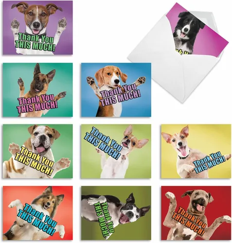 Miniatura 8 de The Best Card Company - 10 tarjetas de agradecimiento en caja con sobres, juego de papelería de agradecimiento de animales para hombres, mujeres