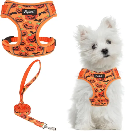 Miniatura 56 de PUPTECK Juego de arnés y correa para perro pequeño, arnés ajustable sin tirones para cachorro, chaleco de malla suave reflectante para mascotas