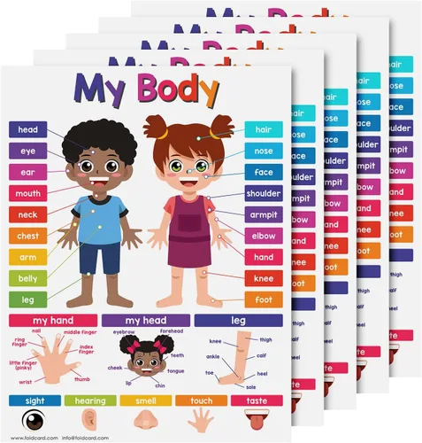 Miniatura 7 de 12 carteles educativos de los meses del año para niños de preescolar hasta 1er grado – Carteles de ayuda visual/aprendizaje coloridos