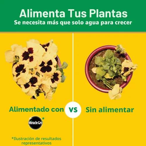 Miniatura 9 de Miracle-Gro Alimento soluble en agua para plantas multiusos, fertilizante para plantas de interior o exterior, rosas, flores, plantas