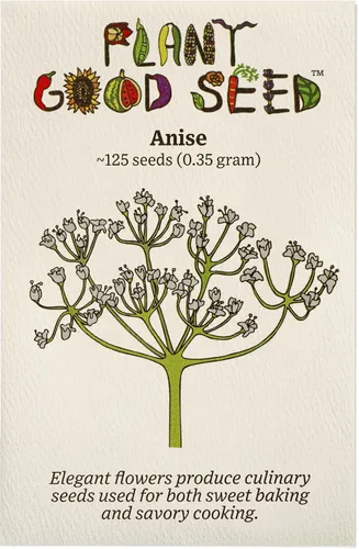 Plant Good Seed Semillas de anís, paquete de 125 semillas tradicionales para plantar hierbas y flores, suministros de jardinería, flores silvestres,