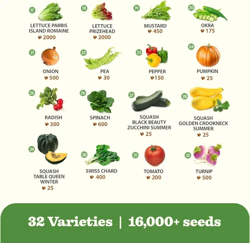 Miniatura 4 de 32 semillas de verduras y frutas tradicionales para plantar - Más de 16,000 semillas Bóveda de semillas de supervivencia sin OMG Alta