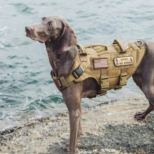Miniatura 4 de OneTigris Chaleco táctico grande para perros, arnés de perro ajustable sin tirones, arnés de perro resistente con asa, paneles grandes de gancho