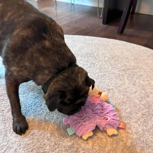 Miniatura 7 de SPOT Soothers Dog Toys
