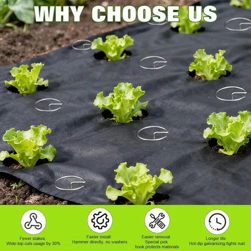 Miniatura 5 de Grapas de jardín resistentes de 6 pulgadas, paquete de 40 estacas de acero galvanizado de calibre 8 con parte superior circular, grapas