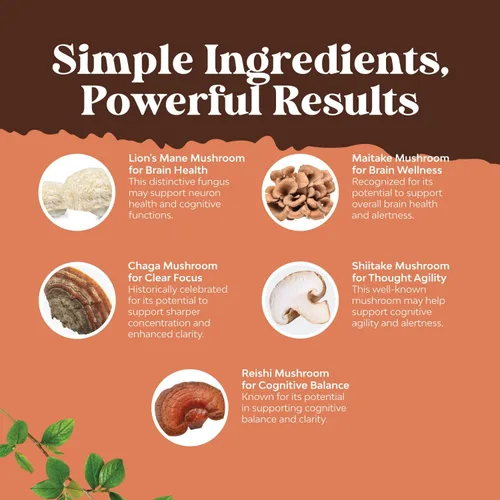 Miniatura 5 de Advanced Mushroom Complex Cápsulas – 10 cápsulas de suplemento de melena de león con Reishi, Chaga, Maitake y Shiitake para la salud cerebral apoyo