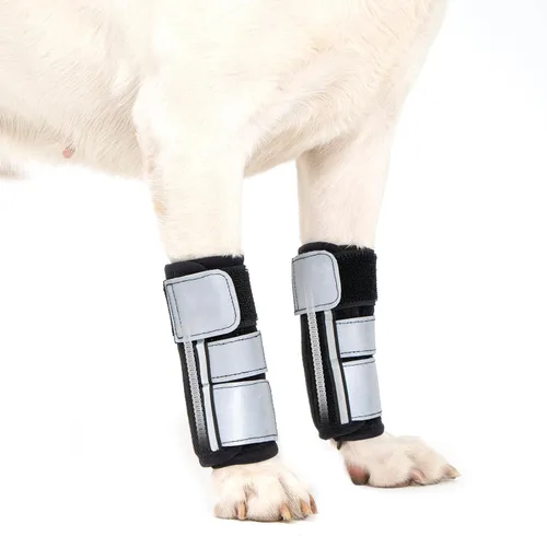 Miniatura 7 de Avont Soporte de pierna delantera para perro, manga de compresión de muñeca, protege heridas y evita lamidas, ayuda a recuperarse de lesiones