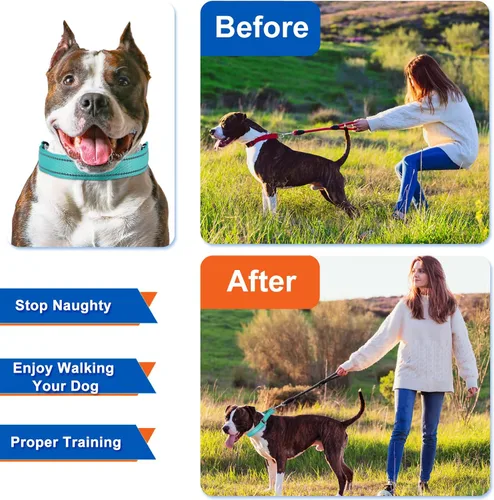 Miniatura 2 de Supet - Collar de entrenamiento para perros con hebilla de liberación rápida, collar ajustable sin tirón con cubierta de nailon para perros Verde