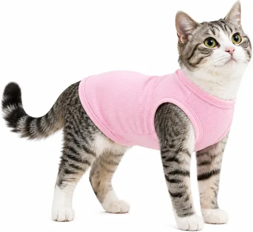Miniatura 41 de Lovelonglong Ropa para mascotas de verano 2019, ropa para perro, camisetas en blanco, camisetas acanaladas, chalecos de hilo superior para perros