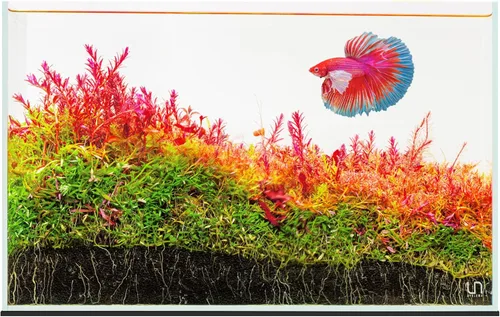 Miniatura 19 de UNS Acuario Ultra Claro Sin Borde - 25.6GAL 97.2L - 23.62x14.17x17.71 60x36x45 CM, Grosor de Vidrio de 6mm, Incluye Alfombrilla Nivelante