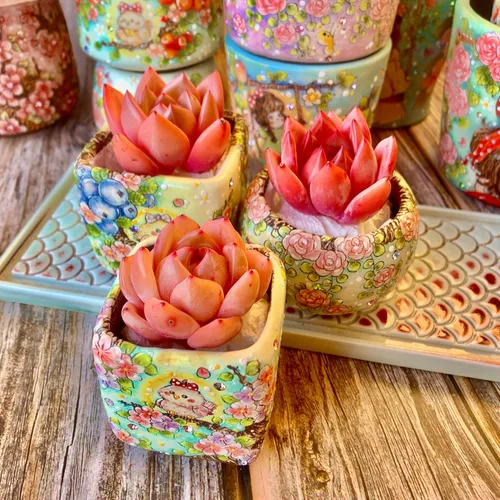 Miniatura 7 de Echeveria - Kit de suculentas de vino tinto y champán, con maceta de plástico, 1 cabeza de planta viva de 2 pulgadas, suelo comprimido y guía