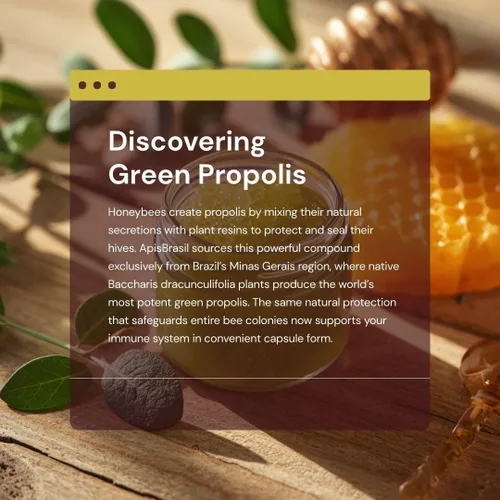 Miniatura 4 de Propóleo verde brasileño - Apoyo inmunológico - 900 mg diarios (3 cápsulas x 300 mg) - 90 cápsulas blandas