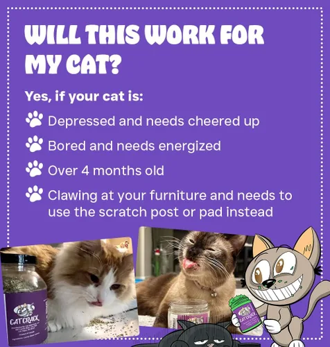 Miniatura 3 de Cat Crack Hierba Gatera, Mezcla de Hierba Gatera Inductora de Zoomies, Hecha en América del Norte y 100% Natural, Tratamientos de Hierba Gatera