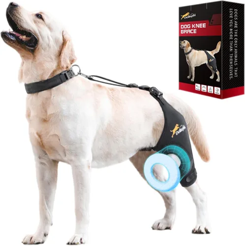 Miniatura 12 de Rodillera para perro para pierna trasera desgarrada del ligamento cruzado anterior, compresión caliente/fría para luxación de rótula u