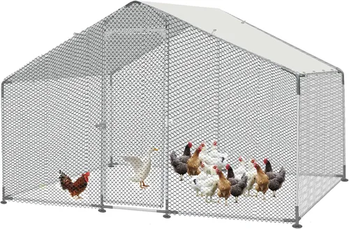 Miniatura 9 de Morngardo Gallinero grande de metal para 10 pollos, jaula de aves de corral, gallinero con cubierta impermeable (64 pies cuadrados)