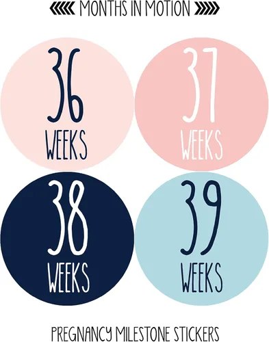 Miniatura 8 de Calcomanías semanales de crecimiento del embarazo, de semana a semana, embarazada esperando fotos, recuerdo de maternidad, panza de bebé