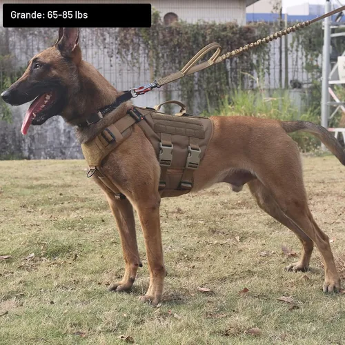 Miniatura 2 de ICEFANG GN3 Arnés táctico para perro con hebilla 6X, chaleco Molle para perro con asa, cobertura corporal 3/4, panel de gancho y bucle para parche