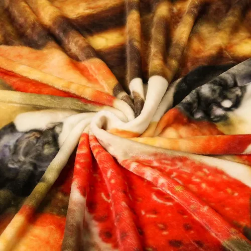 Miniatura 7 de Bnuitland Manta de gofres divertida, 300 GSM, manta gigante de comida realista de doble cara con bolsa de almacenamiento, regalo novedoso para Fruit