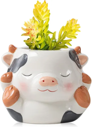 Miniatura 11 de DIYOMR Bonita maceta de animales, mini maceta de cerámica con forma de animal de dibujos animados para suculentas, soporte para plantas de aire