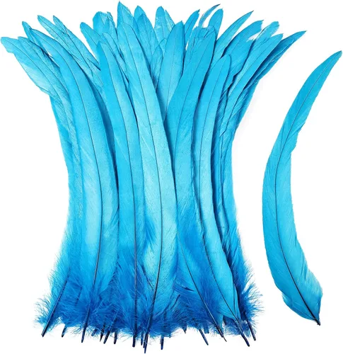 iHUFeather Plumas de cola de gallo naturales, 50 plumas de cola de gallo de 10 a 12 pulgadas de largo, a granel para manualidades, disfraces y