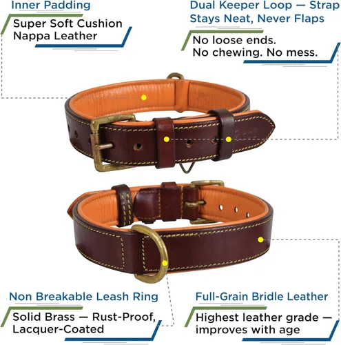 Miniatura 2 de Collar de perro de cuero para perros medianos, marrón, 1 pulgada de ancho, cuero genuino de grano completo, resistente con acolchado interior suave