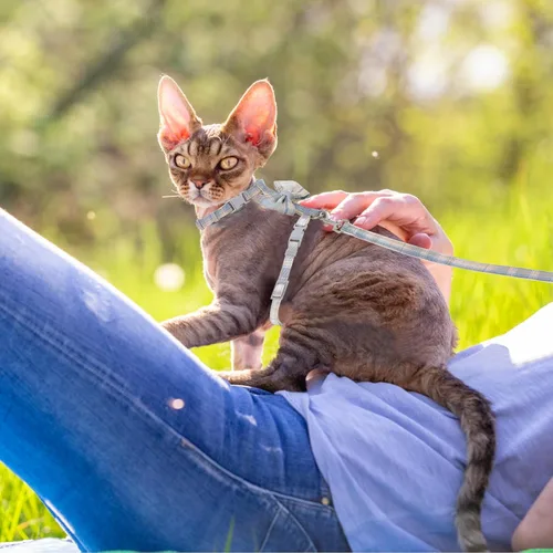 Miniatura 6 de TIESOME Juego de arnés y correa para gato, arnés ajustable degradado para gatito, arnés a prueba de escapes con correa para caminar al aire libre